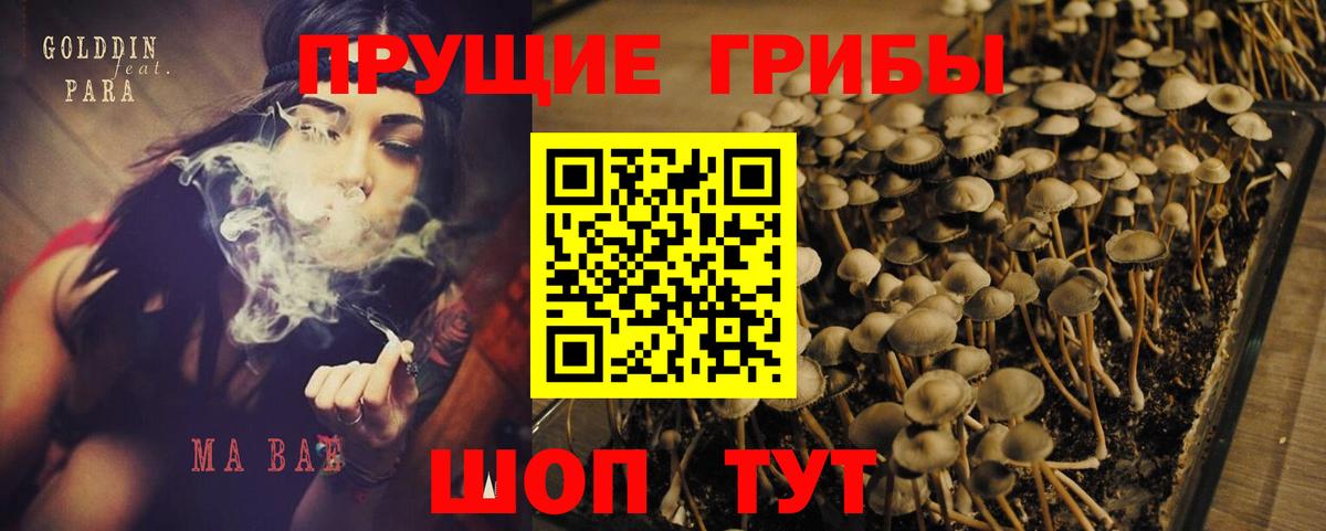 Кореновск  Галлюциногенные грибы Magic Shrooms  Вход с VPN  Галлюциногенные грибы Cubensis 
