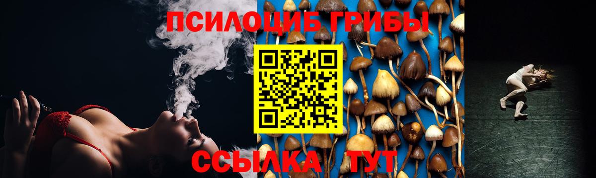 Галлюциногенные грибы Psilocybe Кореновск