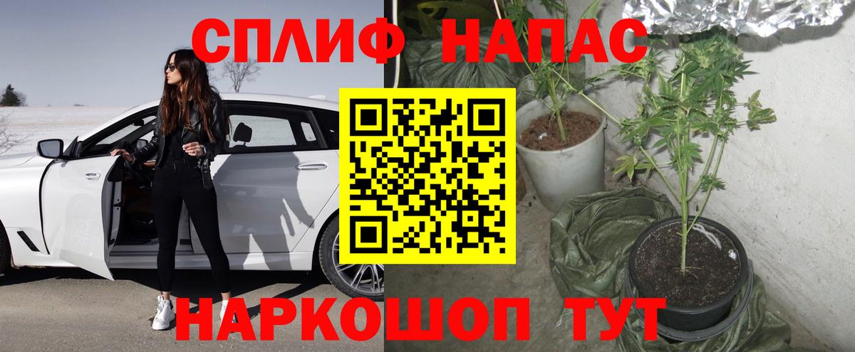 Бошки марихуана MAZAR Кореновск